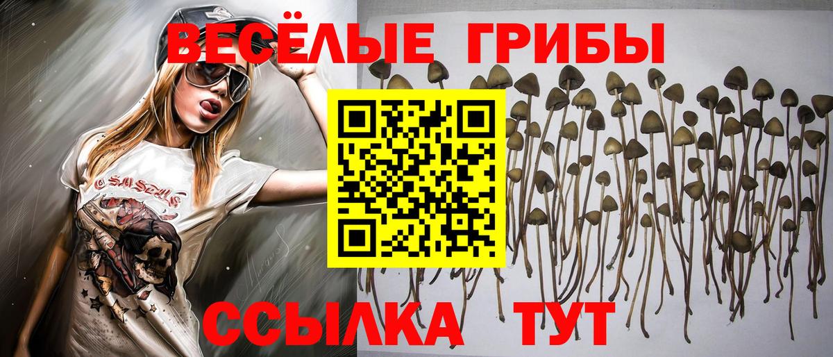 Галлюциногенные грибы MAGIC MUSHROOMS Жигулёвск